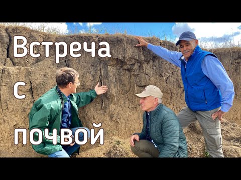 Видео: Разрез целинной почвы