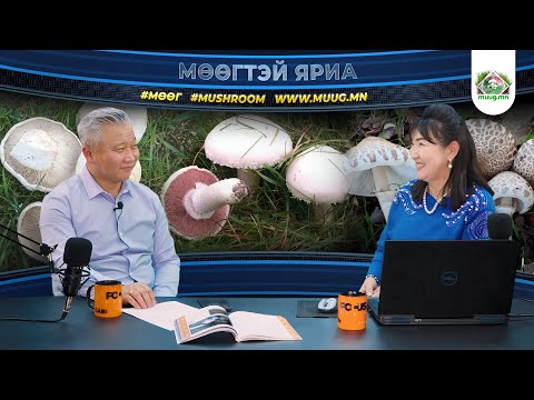 Видео: "Мөөгтэй яриа" Episode #07 Мөөг судлаач, Доктор Н.Хэрлэнчимэг (podcast), Gabi Gabizm