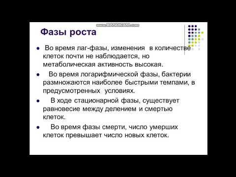 Видео: Физиология бактерий  Типы и механизмы питания  Дыхание, рост и размножение бактериальной к