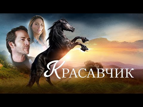 Видео: Красавчик | Спасённое животное вернуло ей смысл жизни! 💔 СМОТРЕТЬ ФИЛЬМ О ЧУДЕ