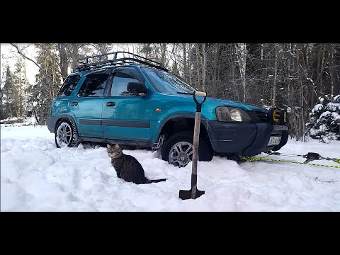 Видео: Зимний кемпинг с котом, рыбалка, новая печь