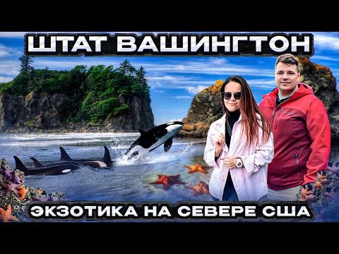 Видео: Что посмотреть в штате Вашингтон? ОХОТИМСЯ ЗА КОСАТКАМИ Экзотические пляжи ПАРК ОЛИМПИК