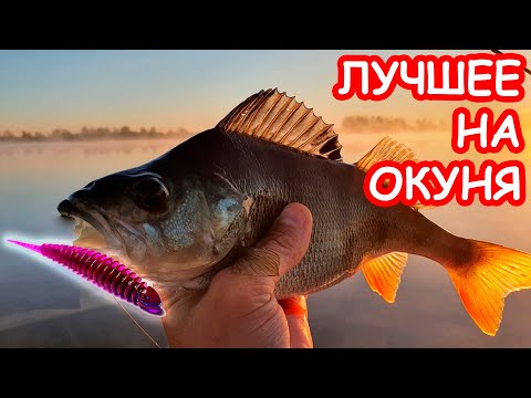 Видео: ЛУЧШАЯ ПРИМАНКА ВСЕХ ВРЕМЕН. ШИШКА. РЫБАЛКА НА ОКУНЯ