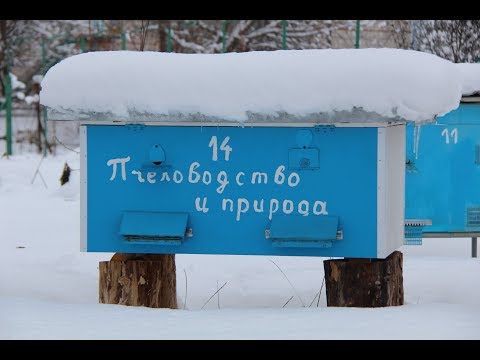 Видео: Зимняя вентиляция улья | Зимовка пчел