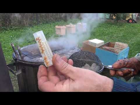 Видео: дезинфекция рамок раствором каустической соды