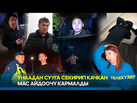 Видео: Унаадан сууга секирип качкан мас айдоочу кармалды // Телекүзөт