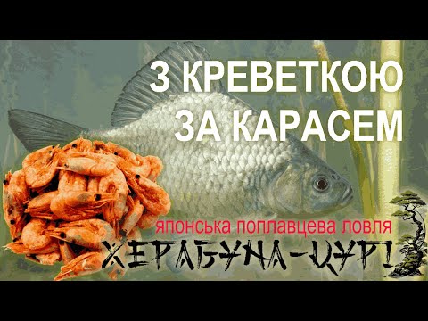 Видео: Рецепт тіста для херабуни | Креветка проти карася