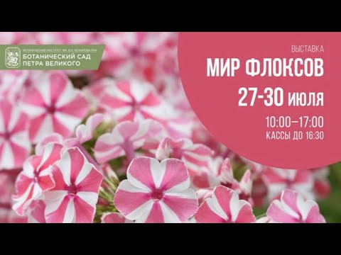 Видео: Выставка МИР ФЛОКСОВ. Санкт Петербург 2023