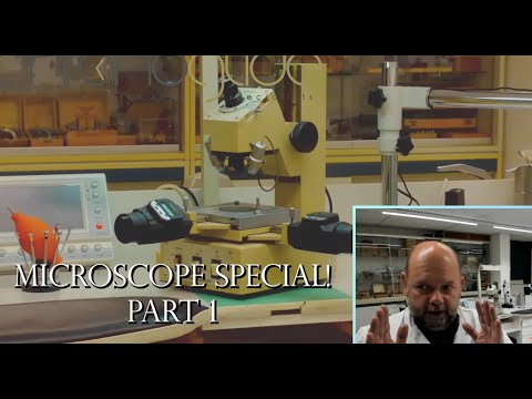 Видео: Спецвыпуск о микроскопе. Часть 1 из 2 — на какой микроскоп обратить внимание в часовом деле