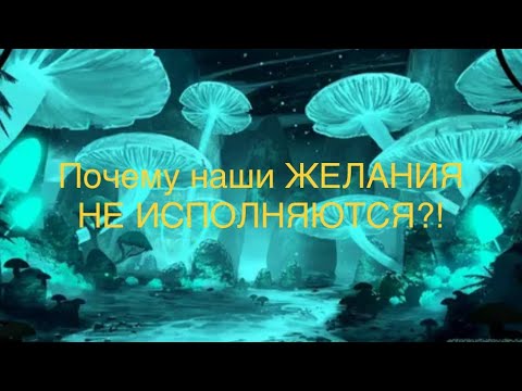Видео: Пантерныймухомор#Переход на новый уровень сознания#