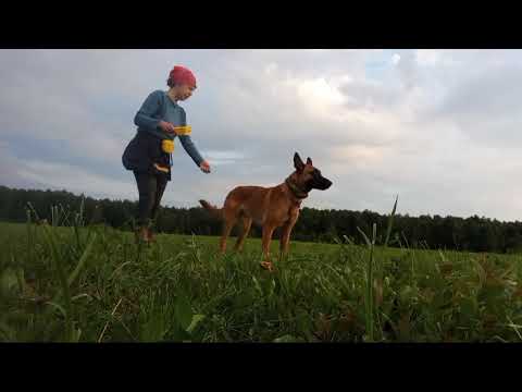 Видео: боковые переключения