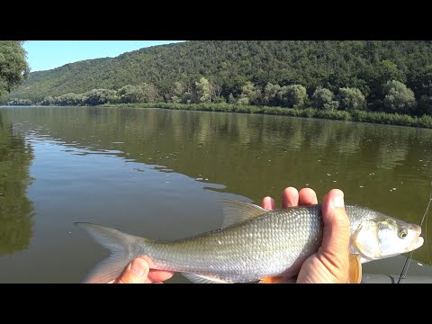 Видео: На Дністрі з човна