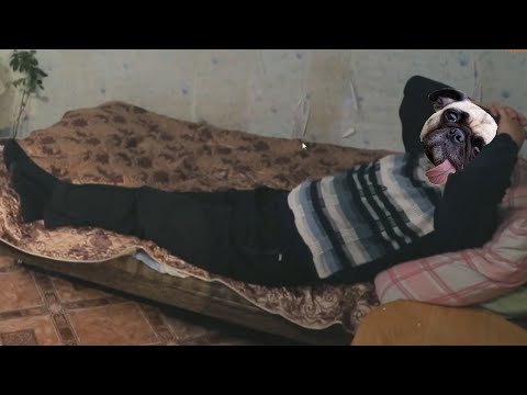 Видео: DAWG, DAN И POOT СМОТРЯТ БЕРЕМЕННА В 16 | 2 СЕЗОН 8 СЕРИЯ | СТРИМ (17.04.20)