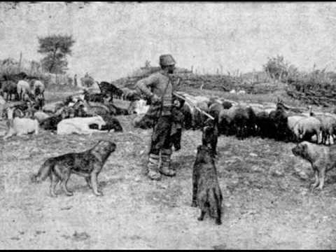 Видео: Теменуго, Теменужке - Гюрга Пинджурова