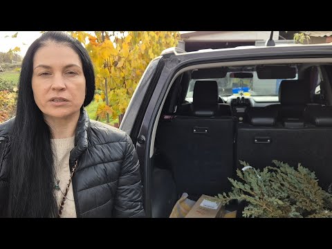 Видео: Осінь! А справ не поменшало! Висаджуємо те що замовили ще влітку. 