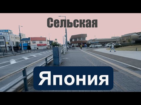 Видео: Потерялся в японской деревне. Цены в магазине. О контрасте с Токио и иммиграции африканцев в Японию.