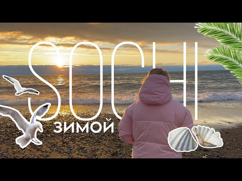 Видео: СОЧИ ЗИМОЙ / МОРЕ, ЗАКАТЫ, ЦВЕТЫ И ТЕПЛО