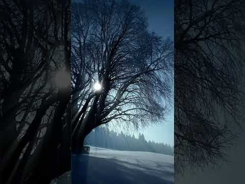 Видео: А СНЕГ ИДЕТ...