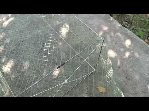 Видео: Вентерь.Ячейка 24мм.