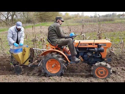 Видео: //Куботой садим картошку первый раз//Кубота в5001+зубр нт135е//