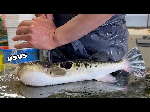 Видео: Используя лучшую тигровую рыбу-фугу, я приготовил блюдо, которое всегда хотел попробовать!