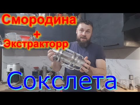 Видео: Смородина в экстракторе сокслета.