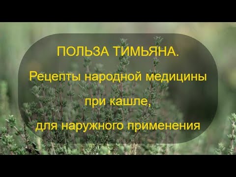 Видео: Польза тимьяна.  Рецепты народной медицины при кашле, для наружного применения