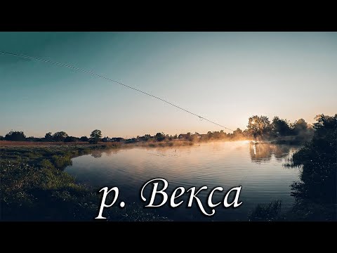 Видео: село Купанское рыбалка в реке Векса