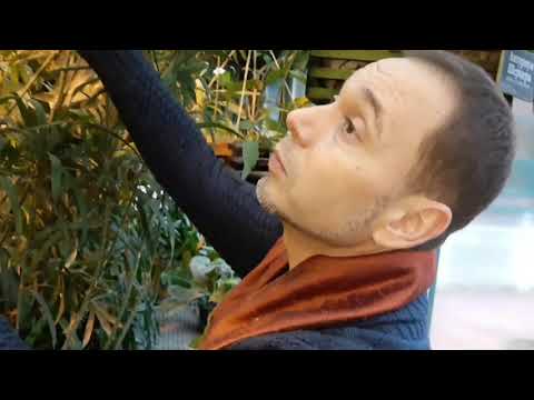 Видео: Экскурсия по оранжереям Ботанического сада МГУ "Аптекарский огород"