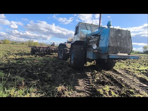 Видео: КАК Я МАГЕЛАННА ПОСАДИЛ…