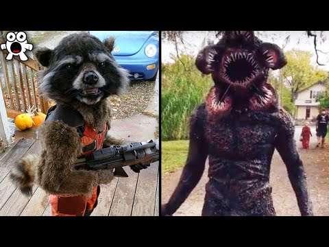 Видео: Самые Необычные И Крутые Костюмы На Хэллоуин