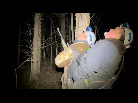 Видео: Охота на енотов!! На реке Теннесси в районе Лэнд-Бит-зе-Лейкс!!!! С друзьями