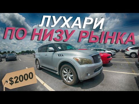 Видео: Лакшари по низу рынка
