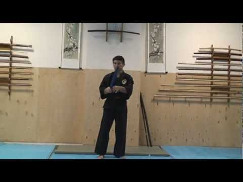 Видео: ПЛАМя - техника палки