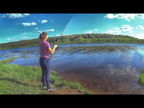 Видео: РЫБАЛКА на ВОЛГЕ Рыба клюет одна за одной Russian fishing