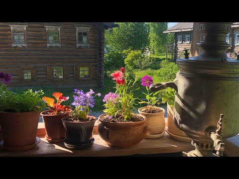 Видео: ДЕРЕВНЯ МАНДРОГИ, МУЗЕЙ ВОДКИ И МНОГОЕ ДРУГОЕ.