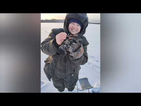 Видео: зимняя рыбалка