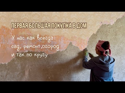 Видео: Сельские хлопоты в Сербии #жизньзаграницей #сербия #переездвсербию #покупкадома