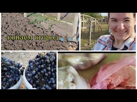 Видео: Влог выходного дня, заготовка фарша, немного заготовок на зиму, еду к маме