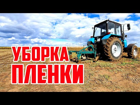 Видео: Уборка пленки 15 09 20