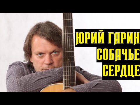 Видео: Собачье сердце, Юрий Гарин, авторская песня