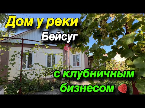 Видео: Дом у реки БЕЙСУГ/ с Клубничным бизнесом🍓