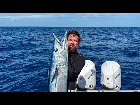 Видео: Соперничество братьев и сестёр | Подводная охота в открытом море | Вяленая рыба Wahoo