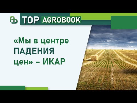 Видео: «Мы в центре падения цен» – ИКАР | TOP Agrobook: обзор аграрных новостей