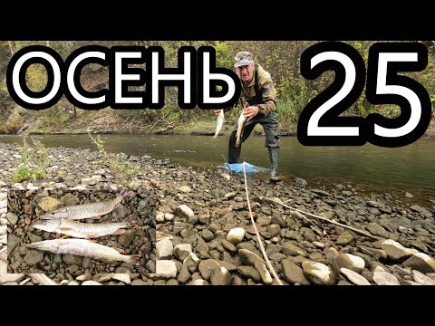 Видео: ИЗ ГРЯЗИ в КНЯЗИ. ЩУКИ ОСЕНИ.