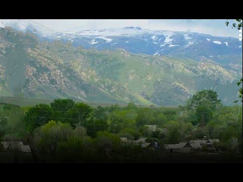 Видео: Зарплата блогера на ютюбе!Ответы на вопросы.