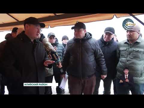 Видео: Нехватка воды для полива уже сейчас ставит под угрозу тысячи гектаров плодородных земель в Алм.обл