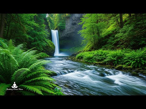 Видео: Исцеляющая музыка для внутреннего покоя 🌿 Пение птиц - Звуки природы для снятия стресса
