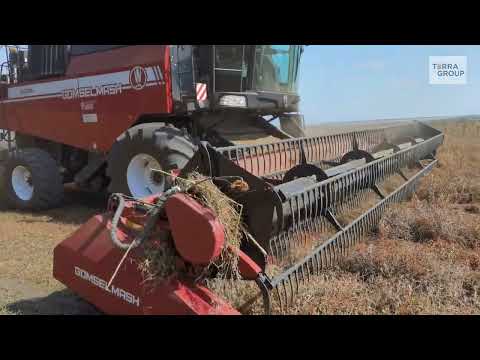 Видео: Комбайн GS2124 от Гомсельмаш: задаем вопросы с Terra Group
