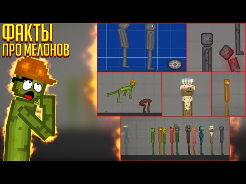 Видео: ИНТЕРЕСНЫЕ ФАКТЫ ПРО МЕЛОНОВ О КОТОРЫХ ТЫ 100% НЕ ЗНАЛ!
